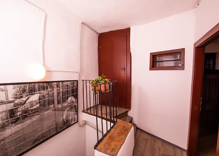 Deznik Hostel Laibach